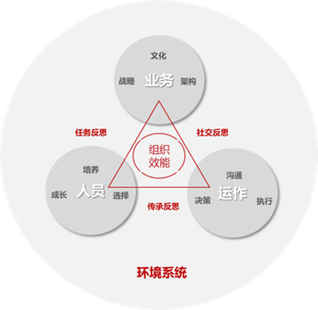 基因组织01.png